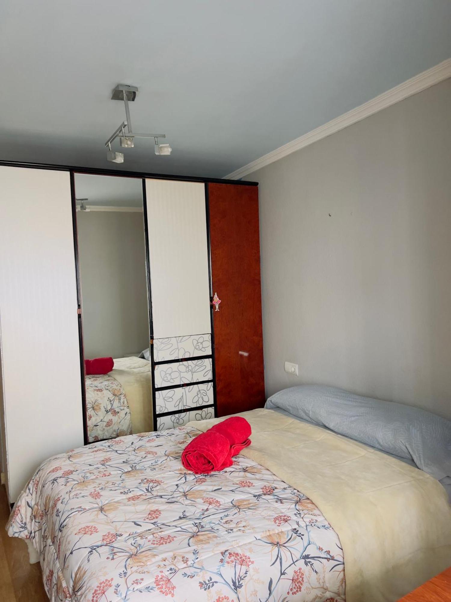 Centro Alicante Apartamento Entero المظهر الخارجي الصورة